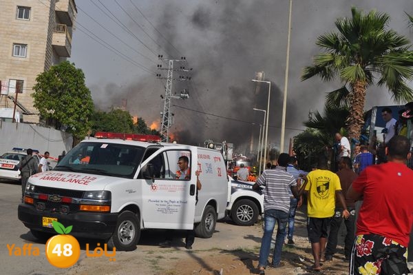 fireludkartoonmasna34 (49).JPG